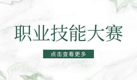 河南职业技能大赛